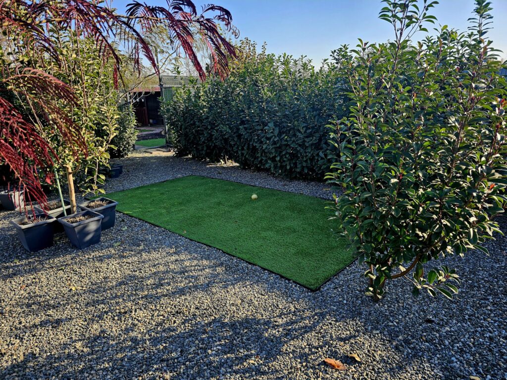 Image #5 from Paulisan Simona