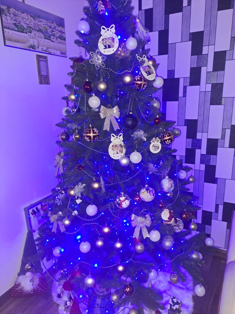 Image #1 from Iancu Delia