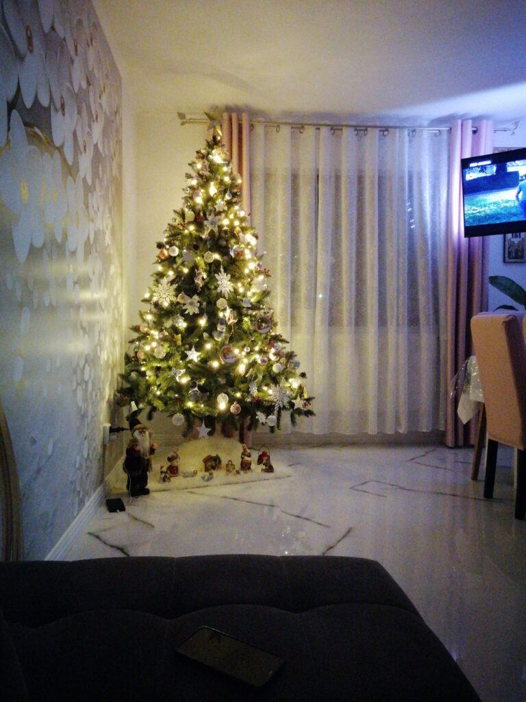 Image #1 from Focșa Lenuța