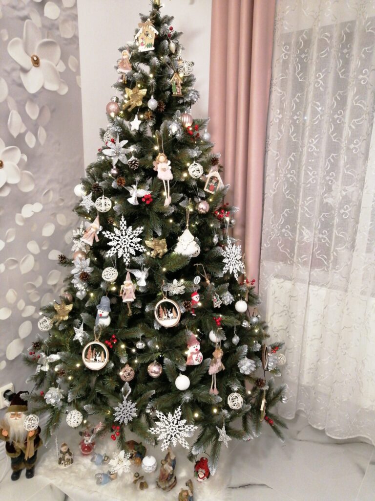 Image #2 from Focșa Lenuța