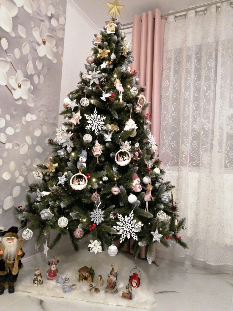 Image #3 from Focșa Lenuța