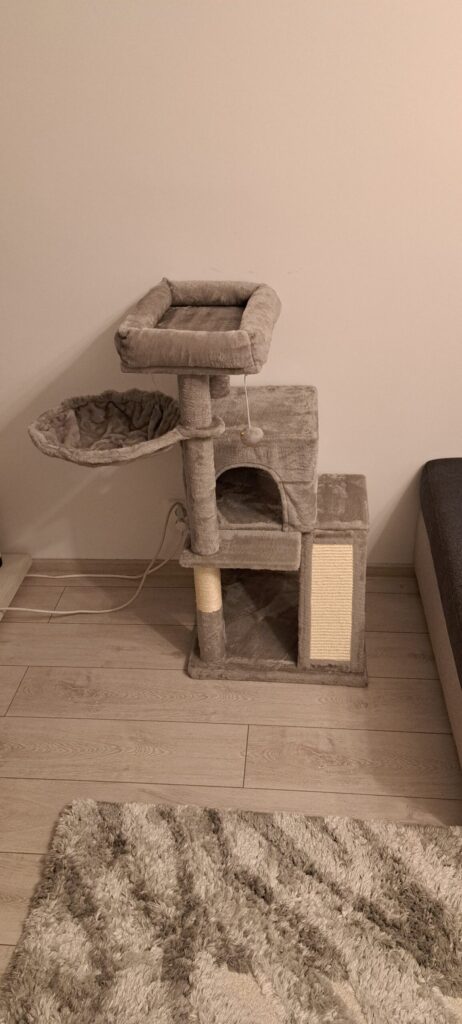 Image #1 from Veronica