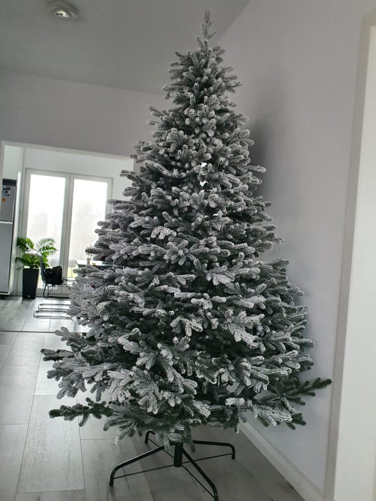 Image #2 from Domilescu Elena