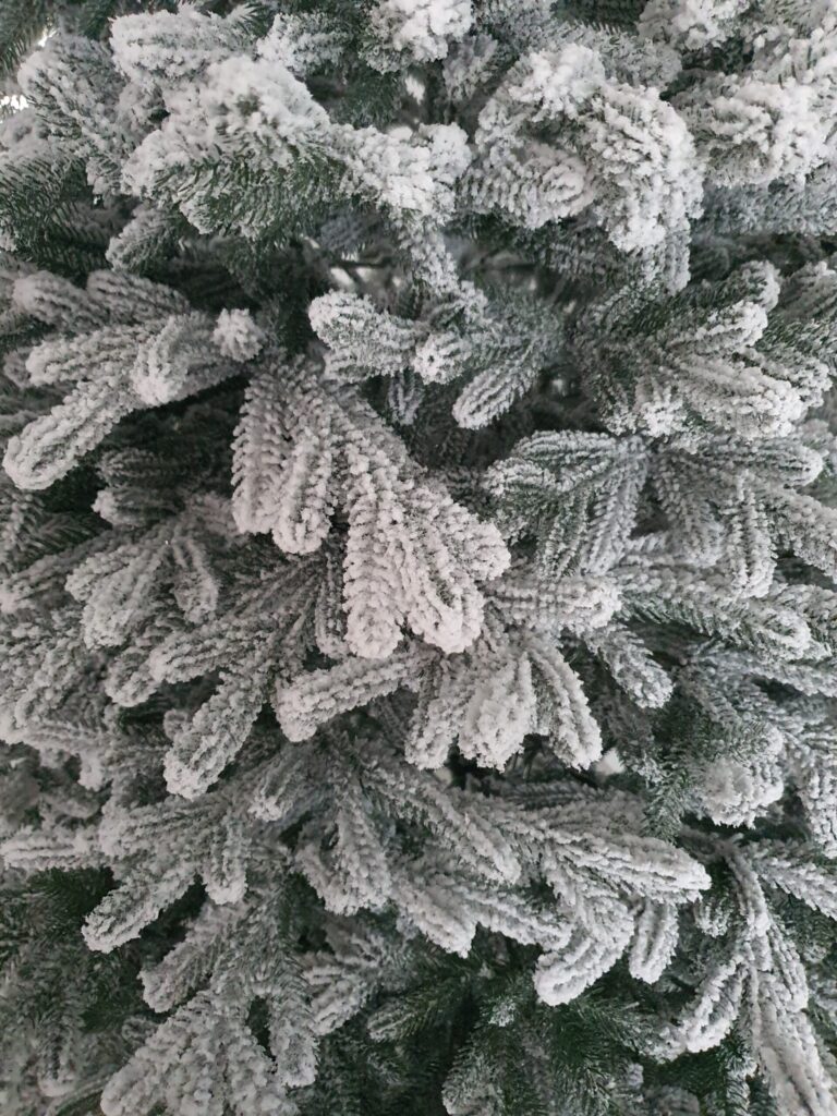 Image #1 from Domilescu Elena