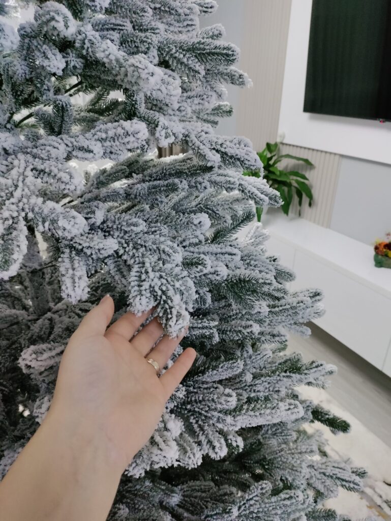 Image #3 from Pricop Cristina