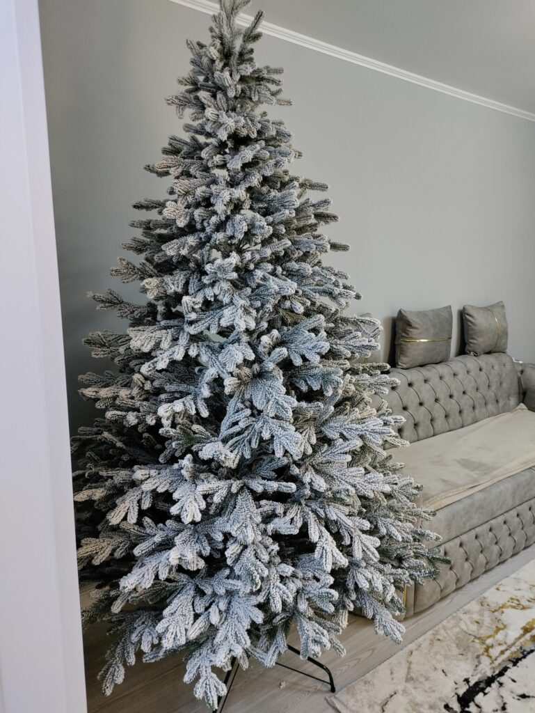 Image #2 from Pricop Cristina