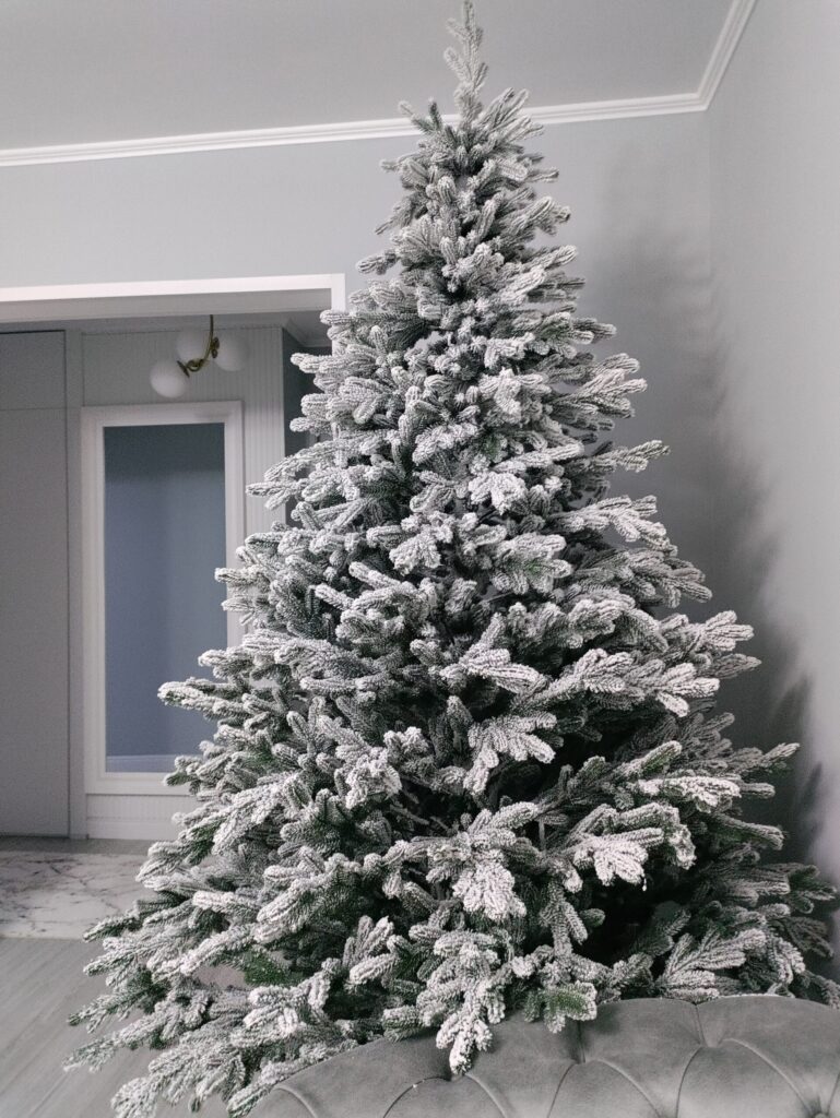 Image #1 from Pricop Cristina