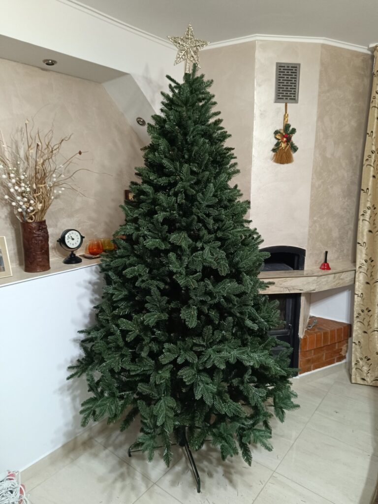 Image #1 from Ilenuta