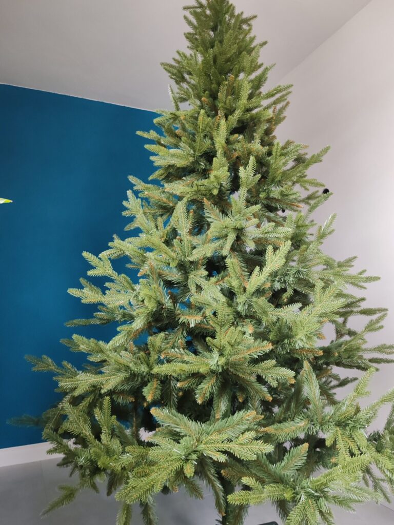 Image #1 from Ionela