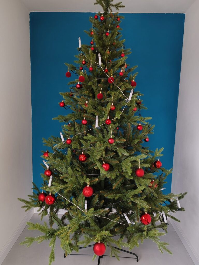 Image #2 from Ionela