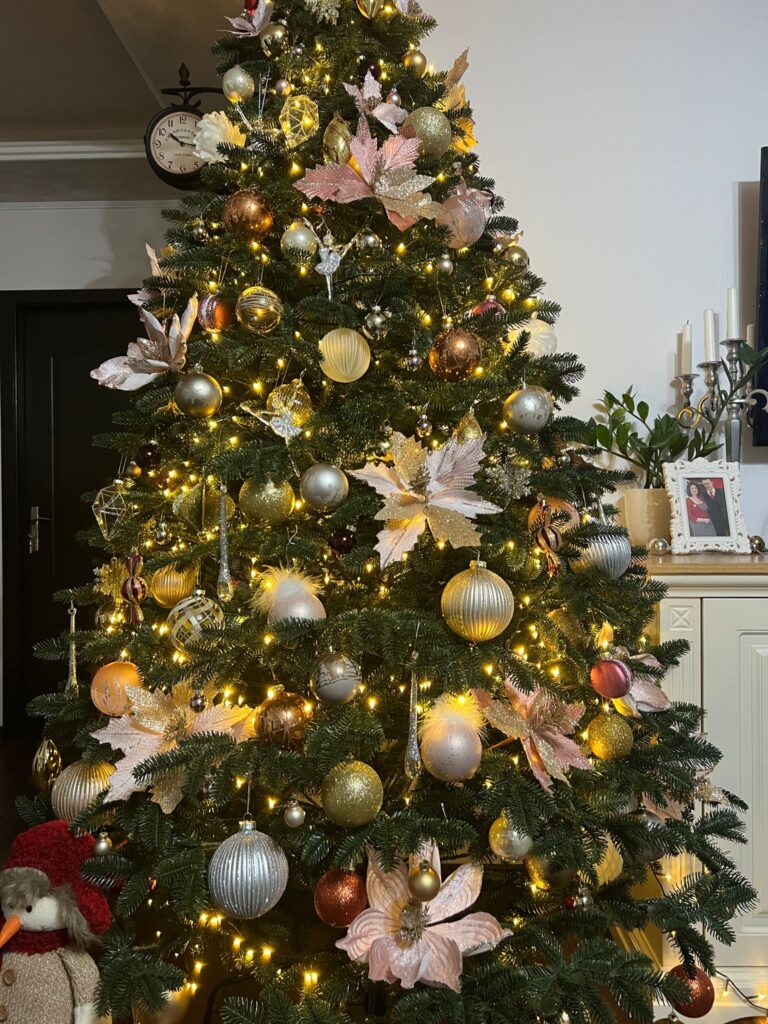 Image #3 from Mihaela Cioban