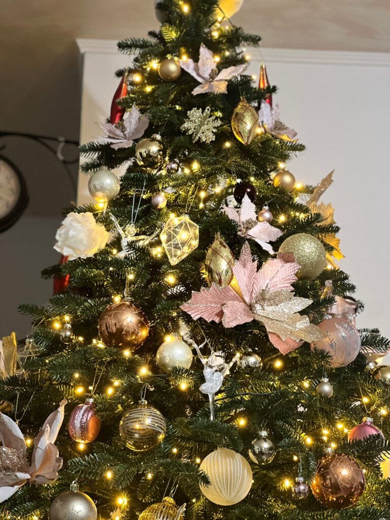 Image #2 from Mihaela Cioban