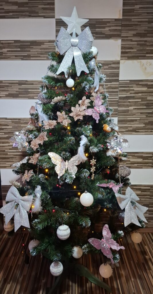 Image #1 from Marian Cosmina