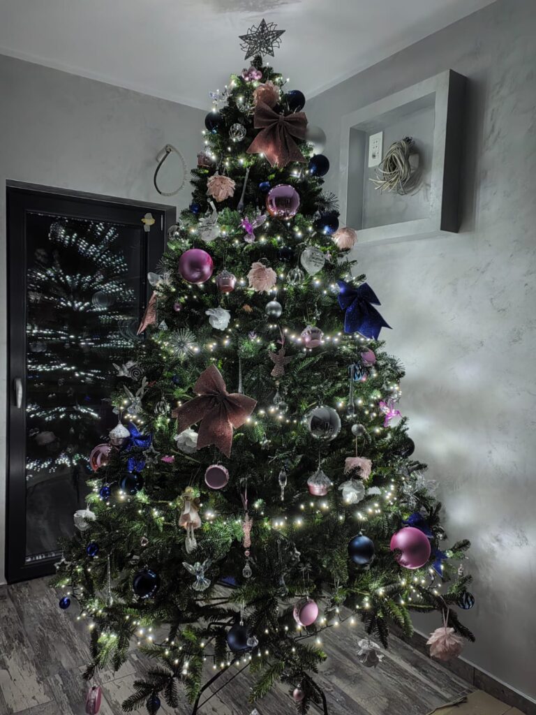 Image #1 from Anton Raluca