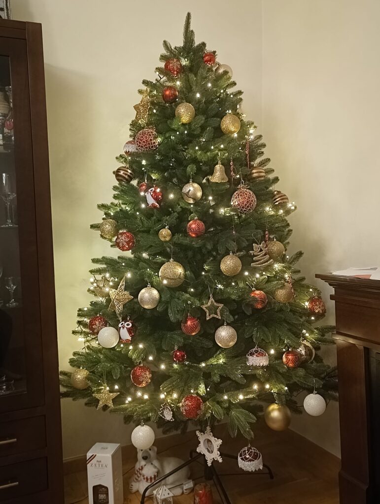 Image #2 from Rodica