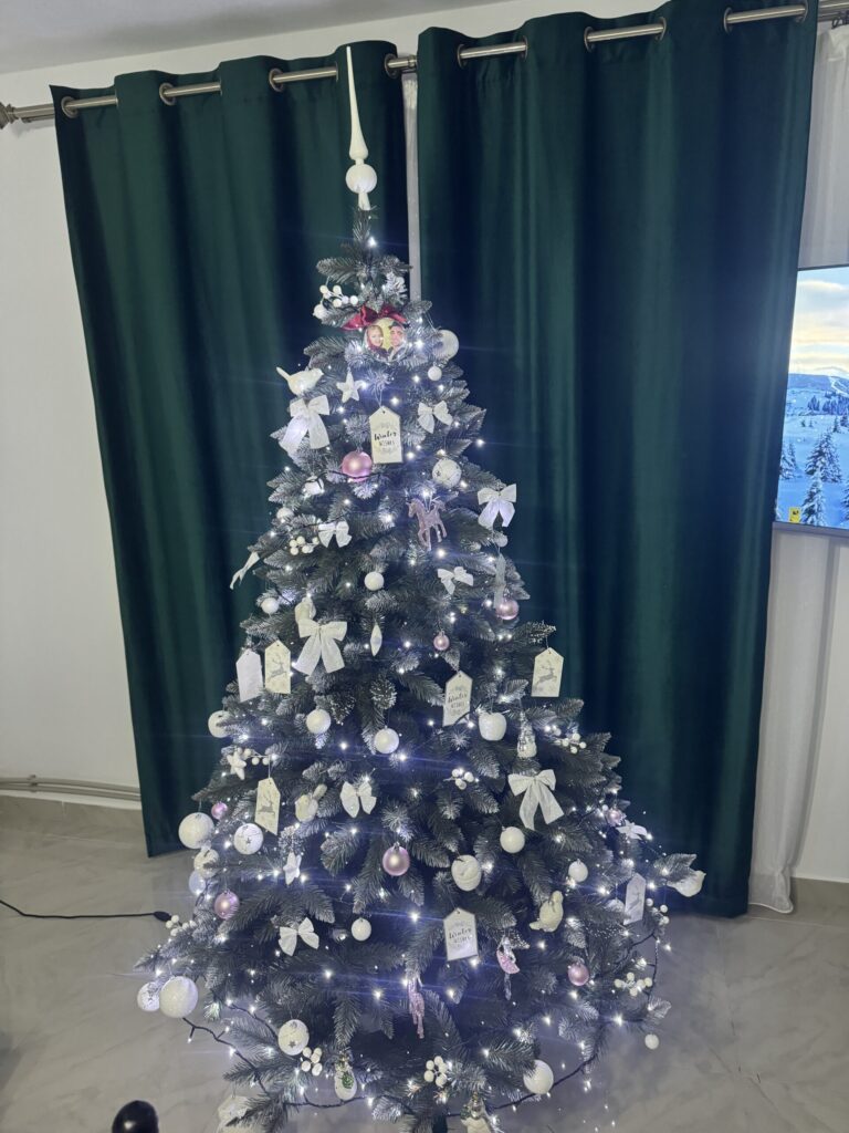 Image #1 from Nicolae Muntean