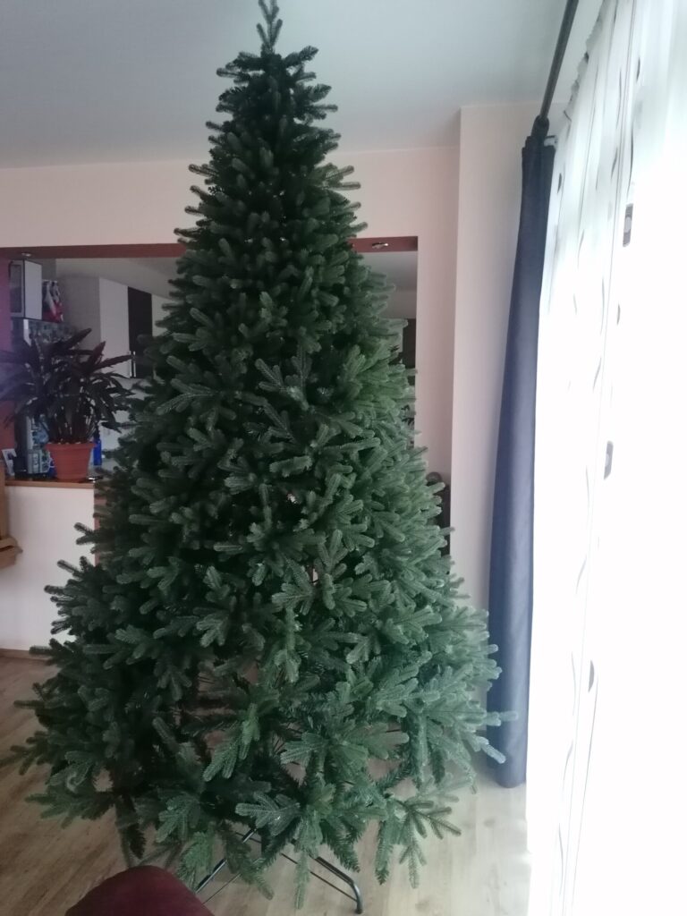 Image #2 from Morar Monica