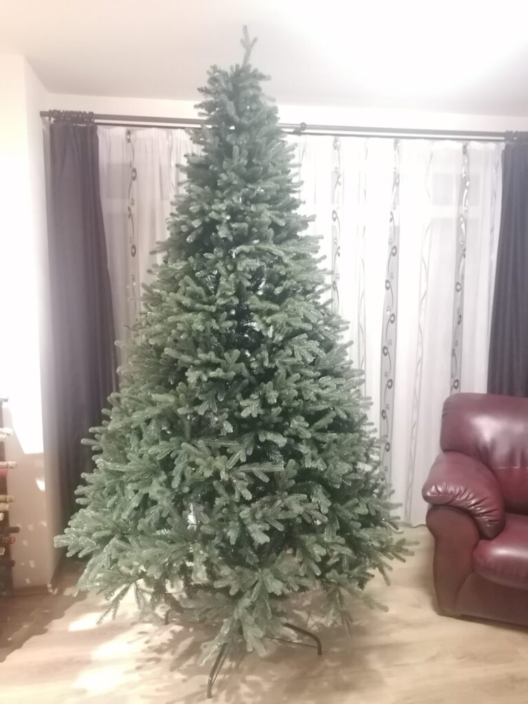 Image #1 from Morar Monica