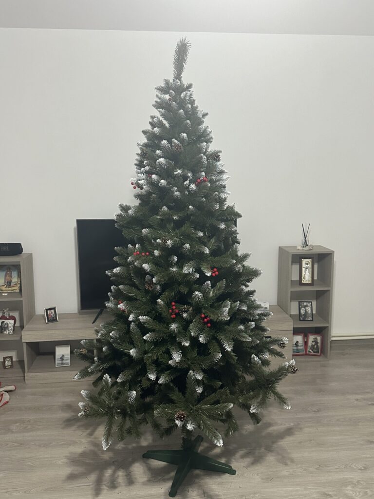 Image #2 from Catalina