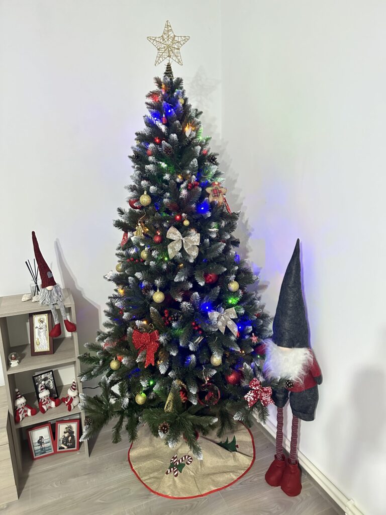 Image #1 from Catalina