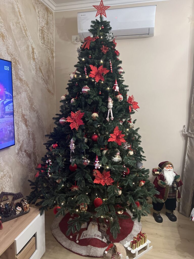 Image #1 from Nedelcu Ionel Iulian