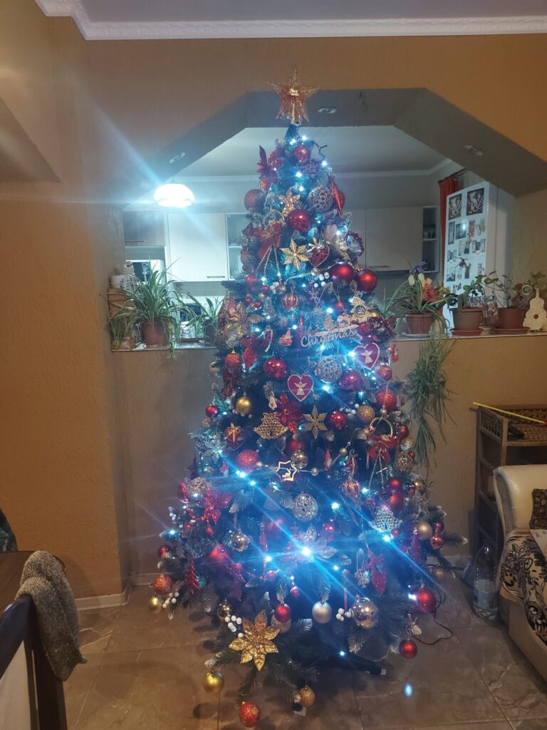 Image #4 from Calciu Sorina