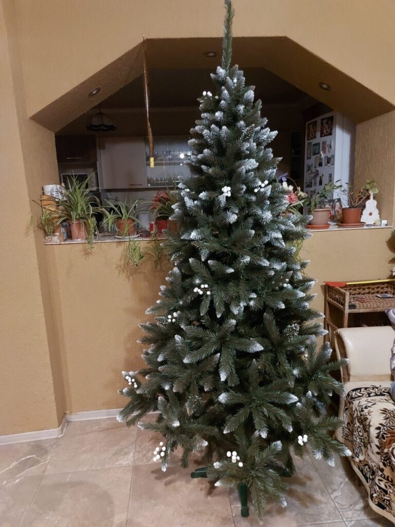 Image #2 from Calciu Sorina