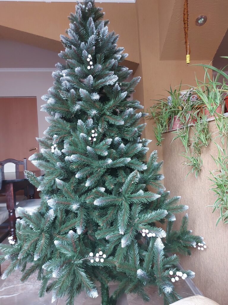 Image #1 from Calciu Sorina