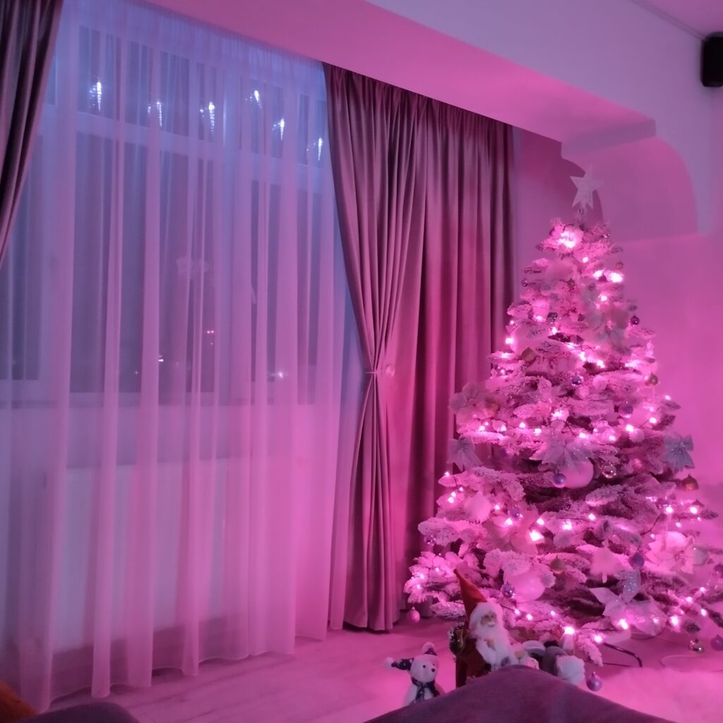 Image #1 from Bucovanu Brîndusa