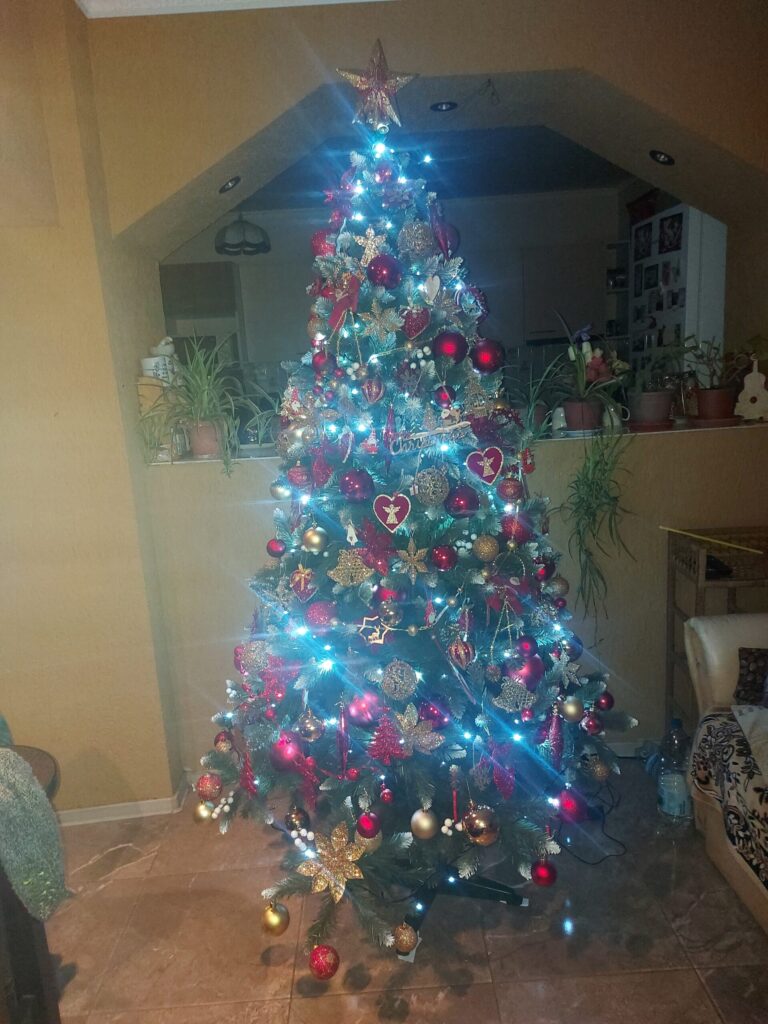 Image #3 from Calciu Sorina