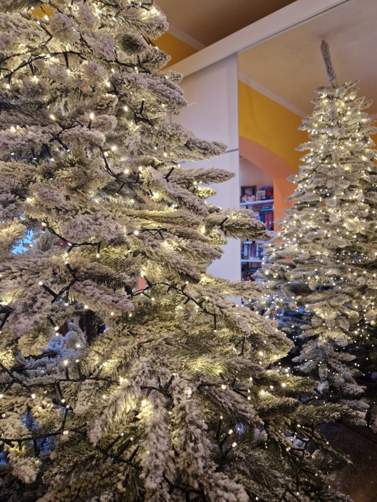 Image #1 from Mirela Gnand