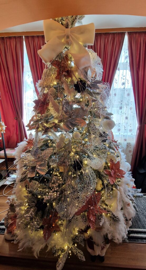 Image #2 from Mirela Gnand