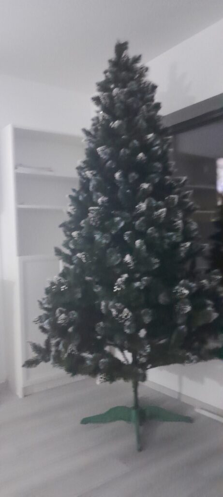 Image #1 from Cojocaru Adriana