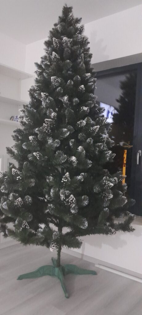 Image #2 from Cojocaru Adriana