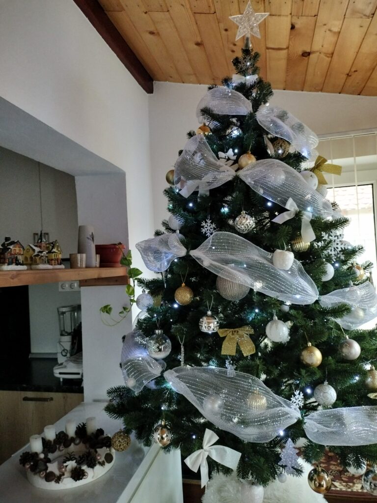 Image #1 from Noémi