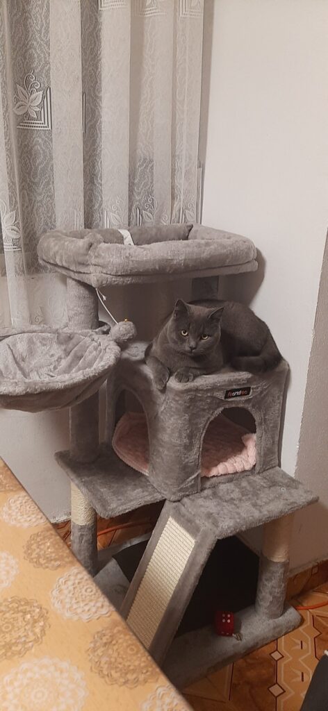 Image #2 from Ștefan