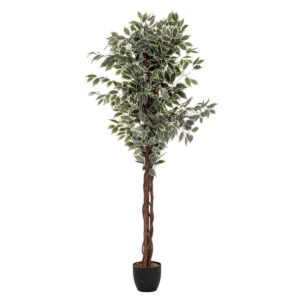 Atmosphera Ficus műnövény cserépben, 97x86x185 cm, zöld két árnyalatban