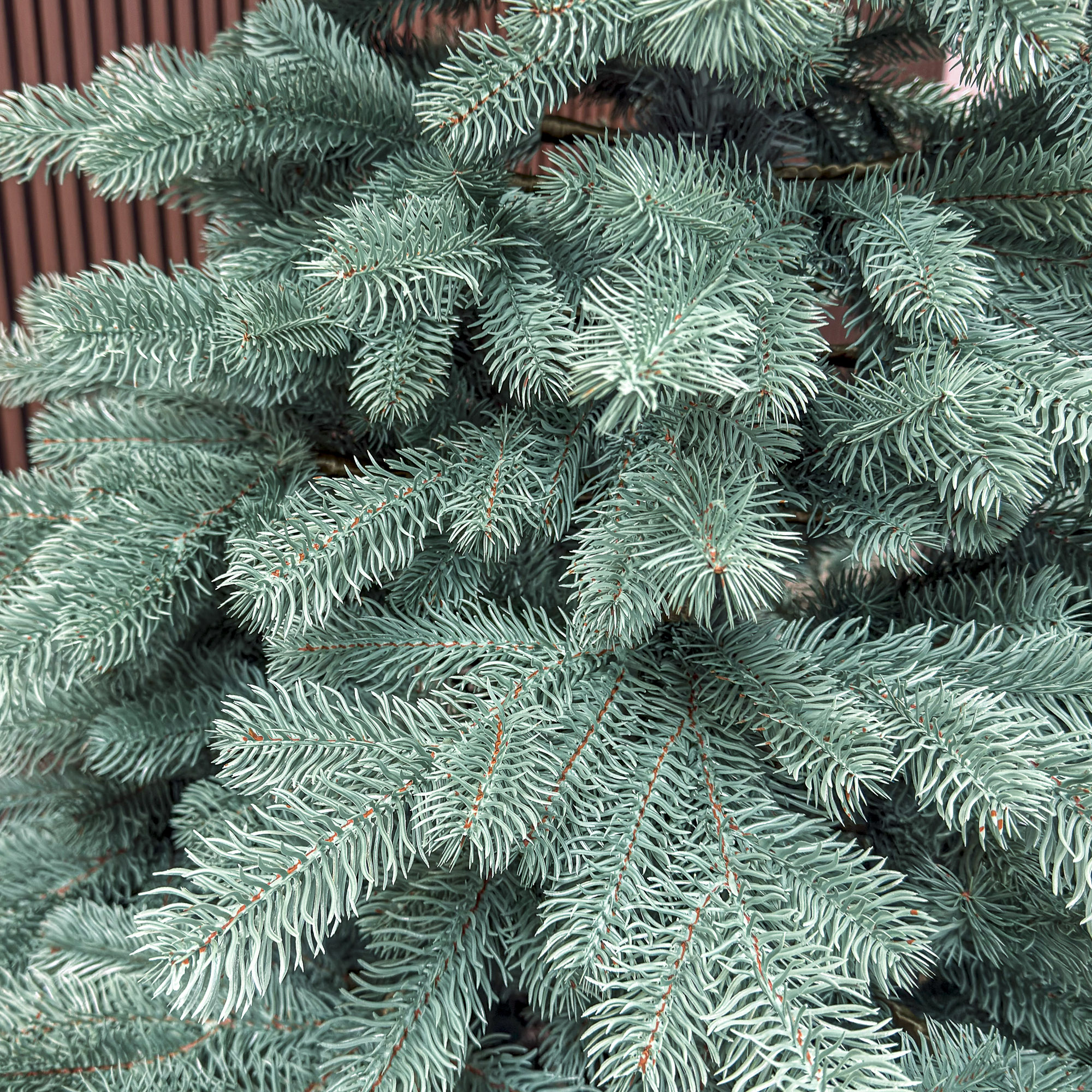 Sersimo Kovalivka Select ezüst műfenyő, Christmas Deluxe, teljes 3D, 230 cm - Image 13