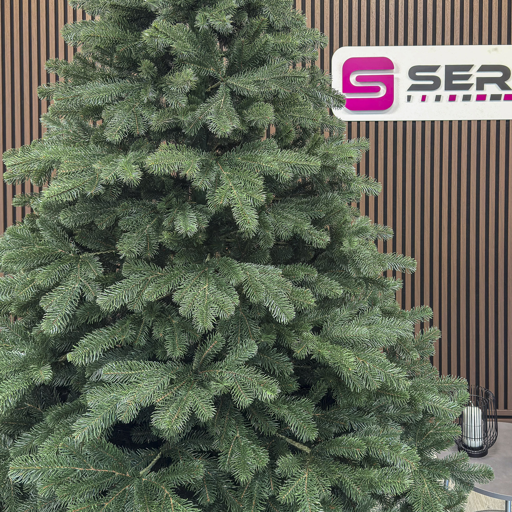 Sersimo Kovalivka Select Deluxe műfenyő, Christmas Deluxe, teljes 3D, 250 cm - Image 2