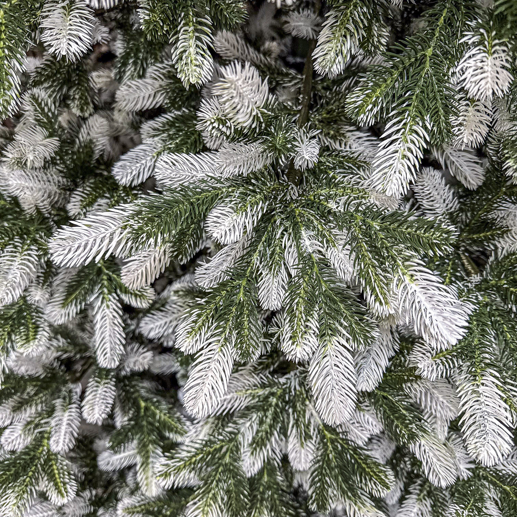 Sersimo Polar Winter Select műfenyő, teljes 3D, 250 cm - Image 18