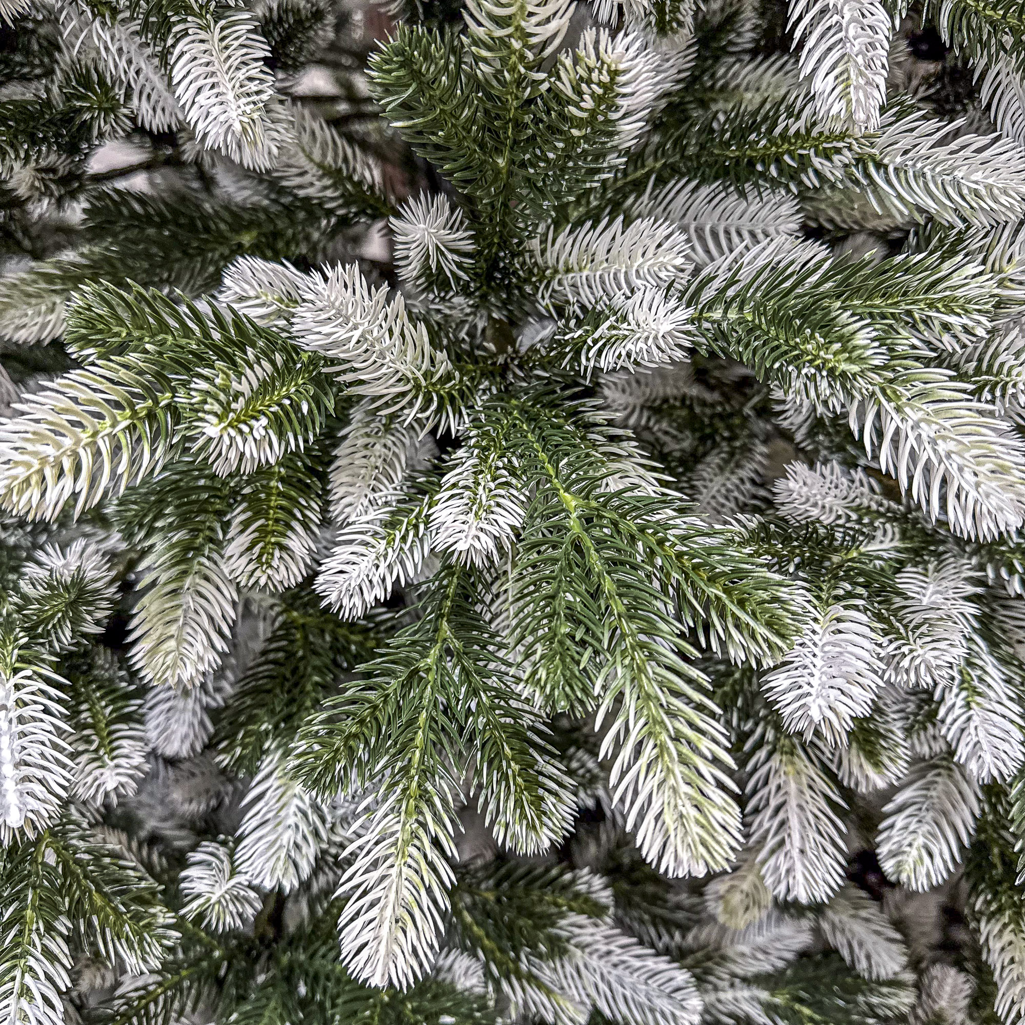 Sersimo Polar Winter Select műfenyő, teljes 3D, 250 cm - Image 8