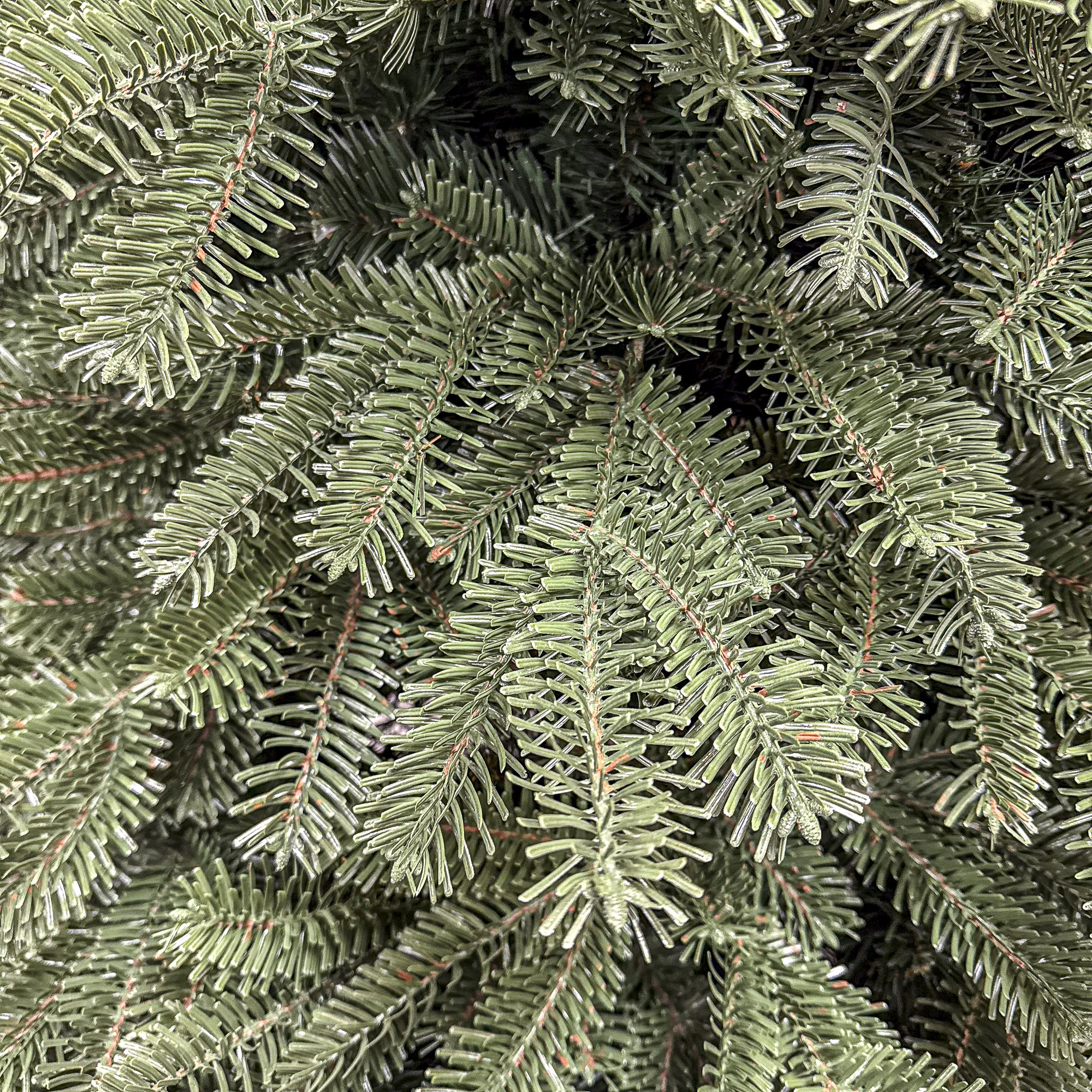 Műfenyő Christmas Deluxe by Sersimo, Norvégia zöld, 2D+3D mix, 210 cm - Image 11