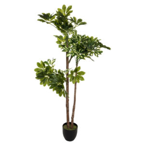 Atmosphera Schefflera műnövény cserépben, 135 cm, zöld