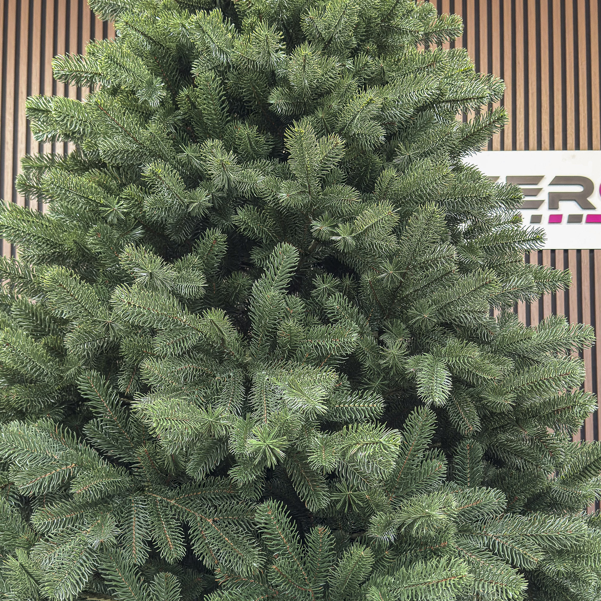 Sersimo Versailles Select műfenyő, teljes 3D, 210 cm - Image 6