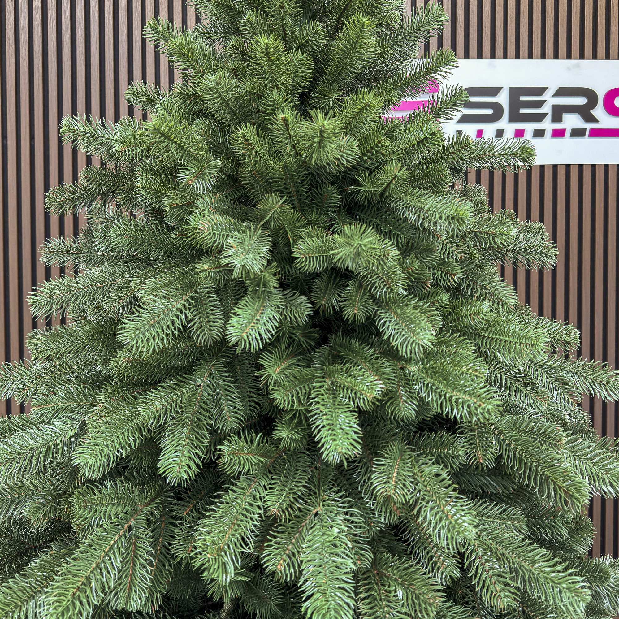Sersimo Versailles Select műfenyő, teljes 3D, 210 cm - Image 12