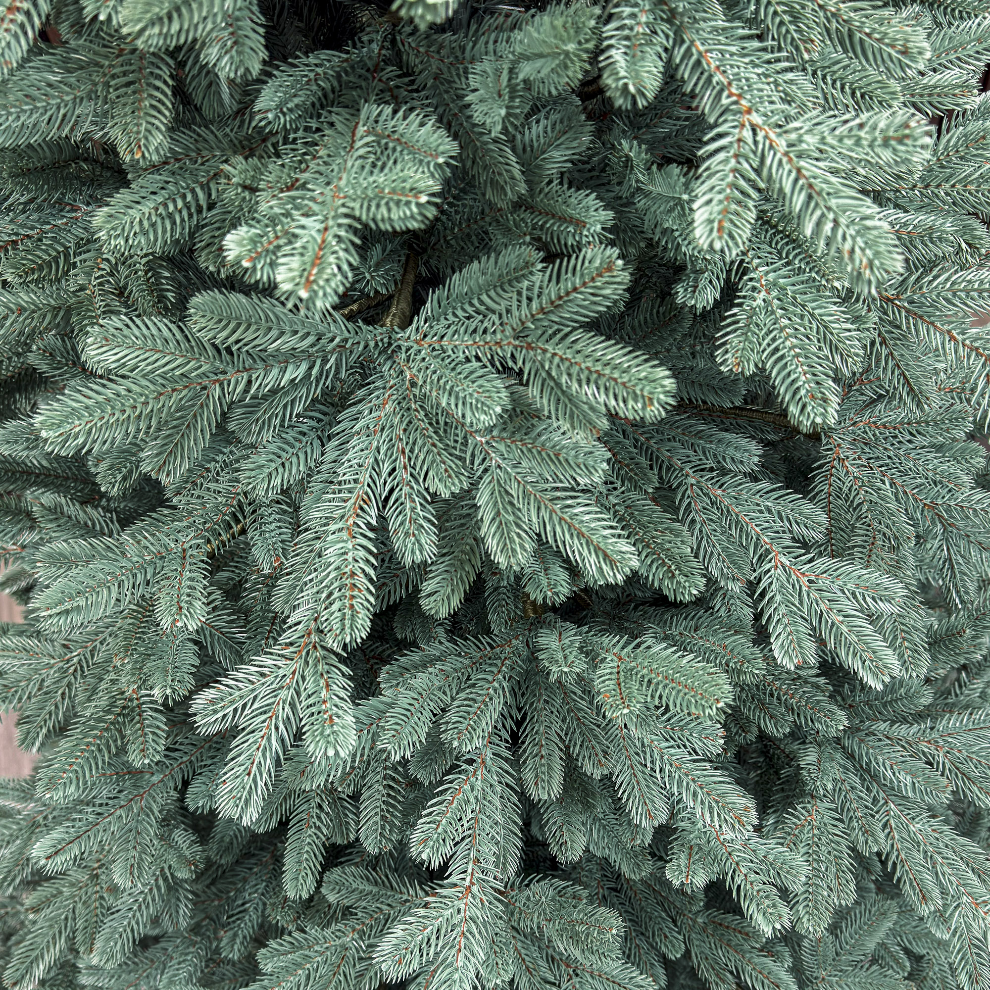 Sersimo Viena Select ezüst műfenyő, Christmas Deluxe, teljes 3D, 250 cm - Image 2