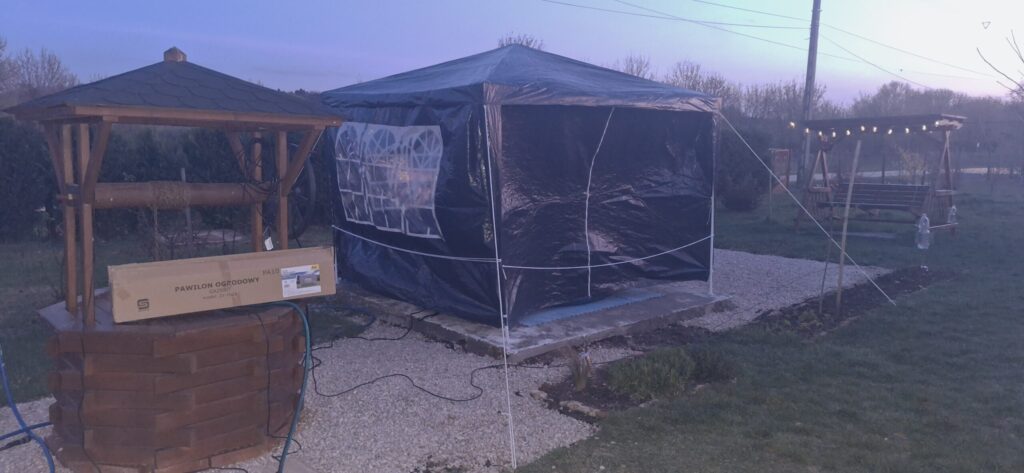 Image #2 from Dora István