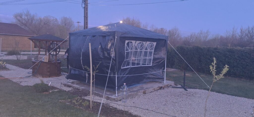 Image #1 from Dora István