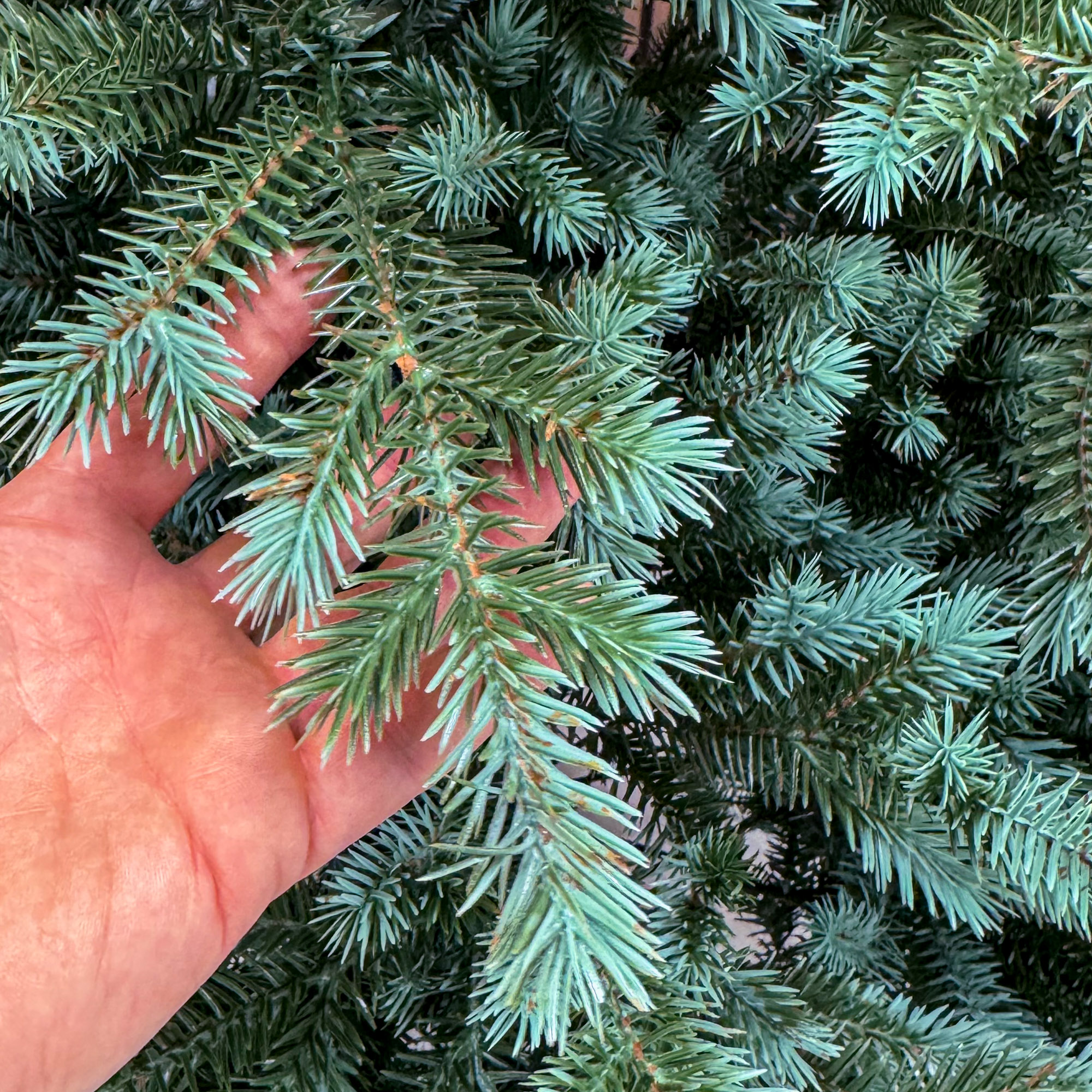 Brad artificial Sersimo, Scandinavia, verde cu varfuri argintii, integral 3D, 210 cm - Image 7